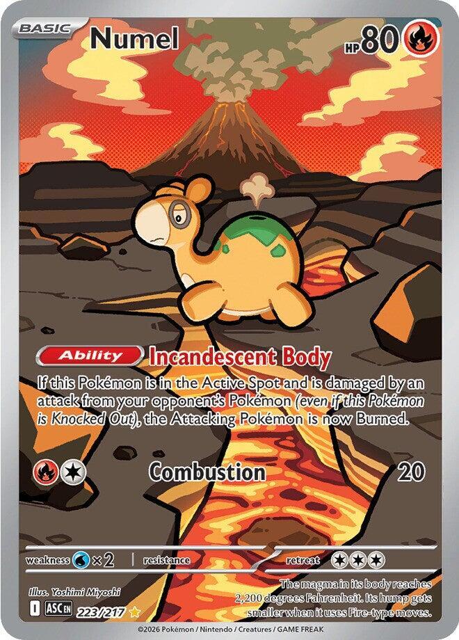 Numel 223/217 (ME: Ascended Heroes) - Holofoil