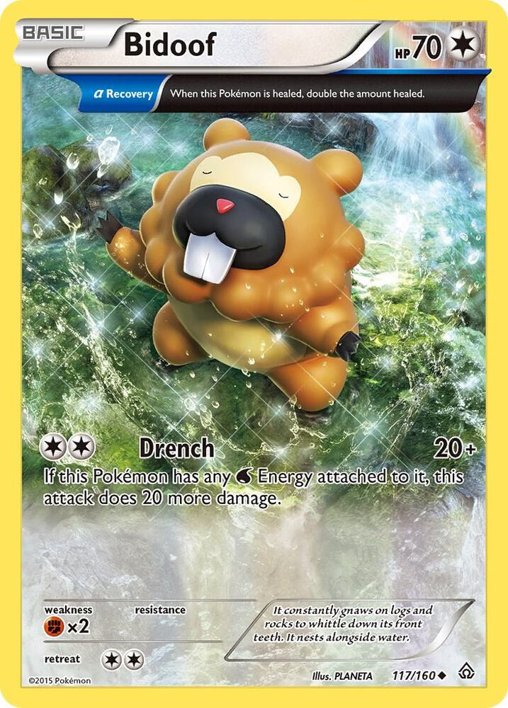 Bidoof 117/160 (XY - Primal Clash) 