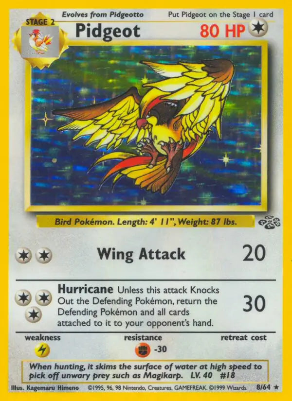 Pidgeot 08/64 (Jungle)  - Unlimited Holofoil