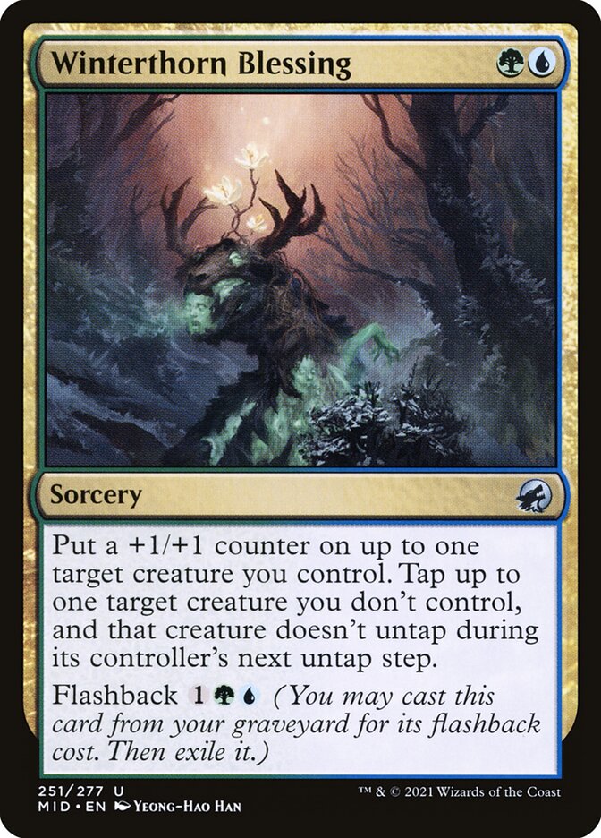 Winterthorn Blessing 251/277 (Innistrad: Midnight Hunt) 