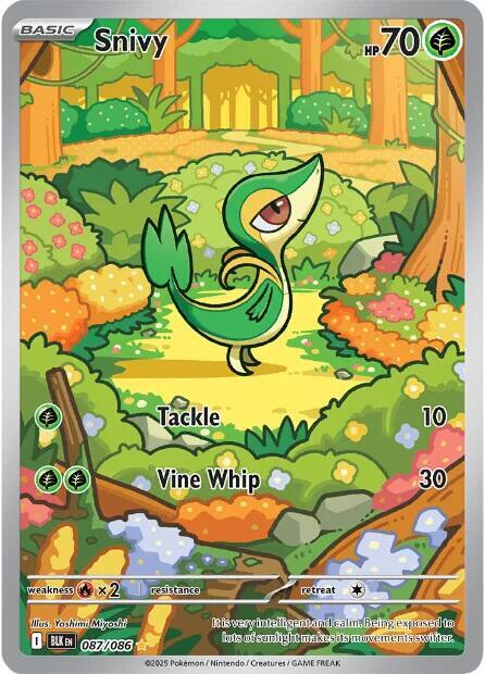 Snivy 087/086 (SV: Black Bolt)  - Holofoil