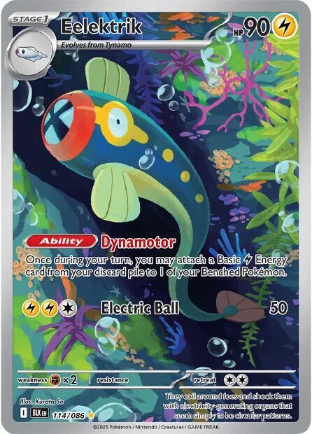 Eelektrik 114/086 (SV: Black Bolt)  - Holofoil